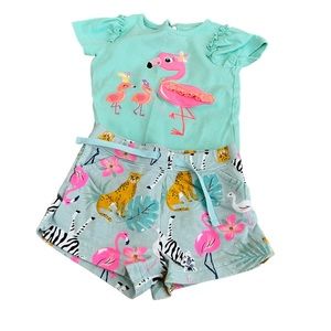 Baby girls bundle - 18 months